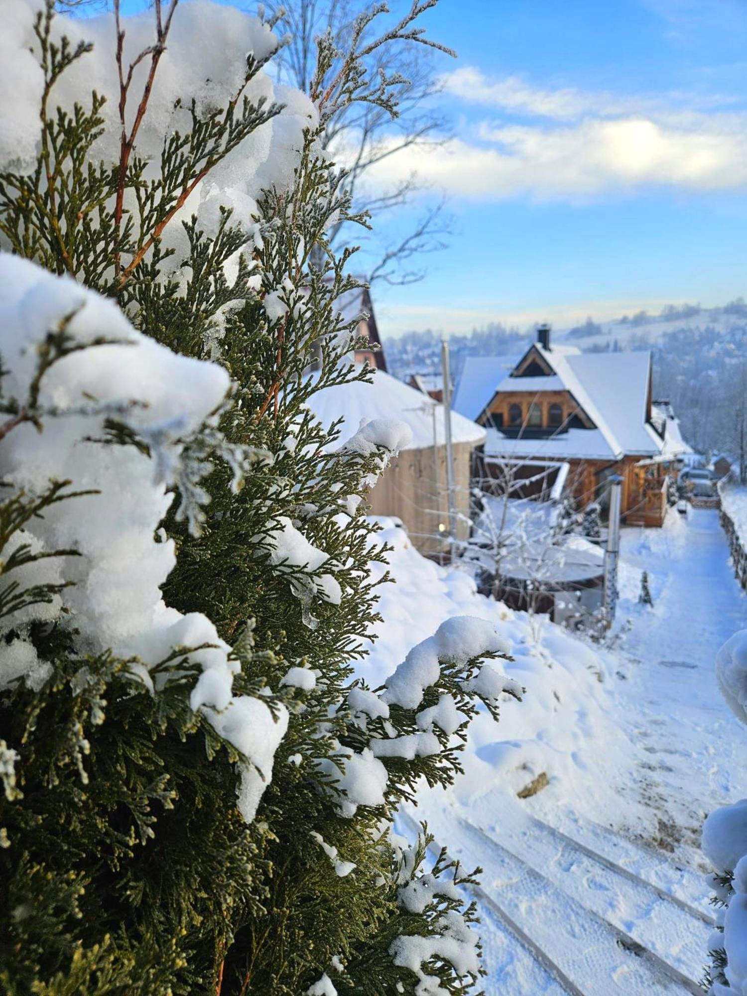 Goralska Chatka 2 Highland Cottage - Split Ac, Jacuzzi, Sauna, Private Parking, Mountains View, Garden, ซาโกปาเน ภายนอก รูปภาพ